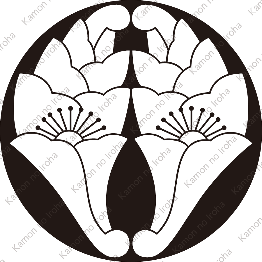 石持ち地抜き抱き花杏葉紋