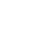 傘紋